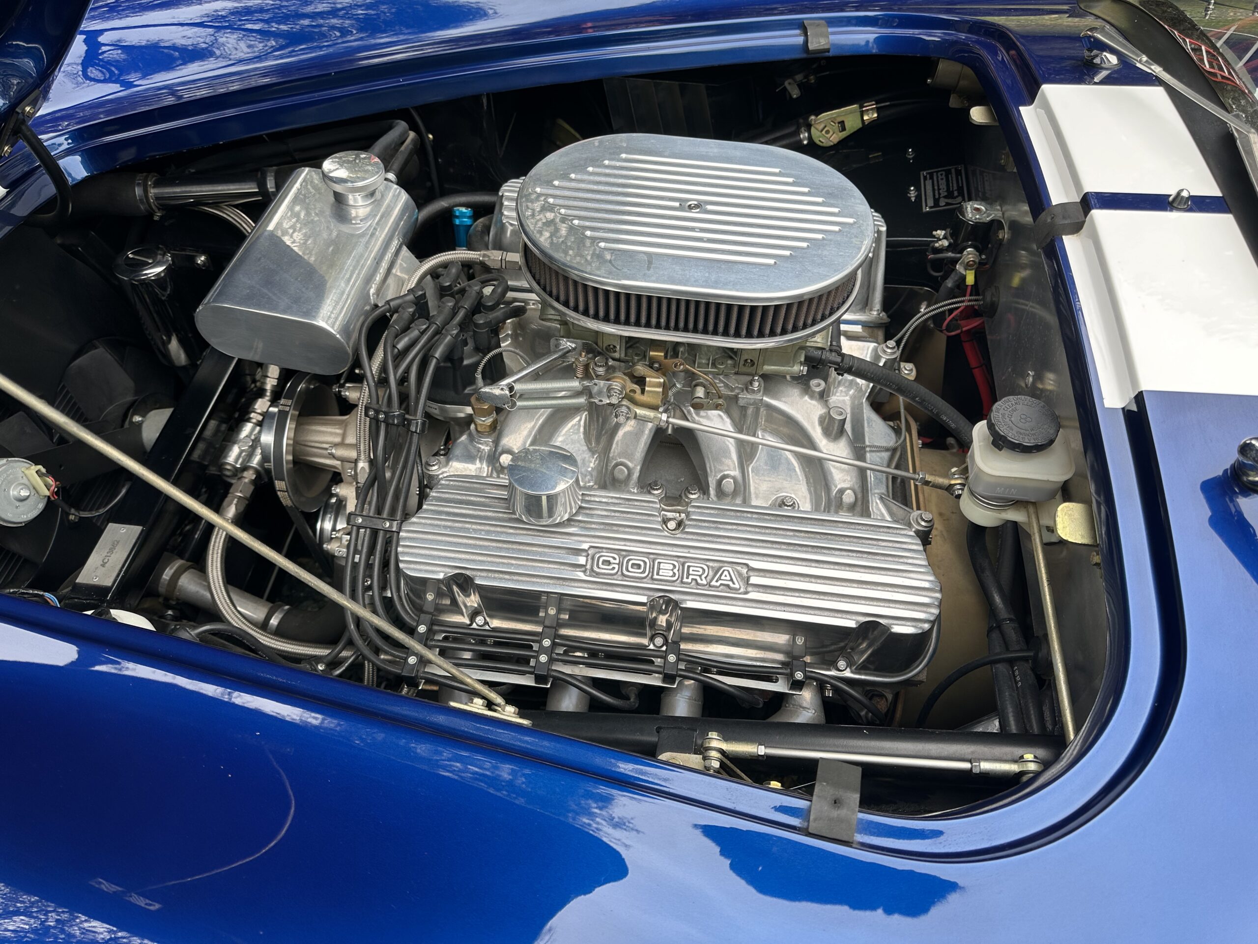 
								1965 Ford Cobra 351/392 full									