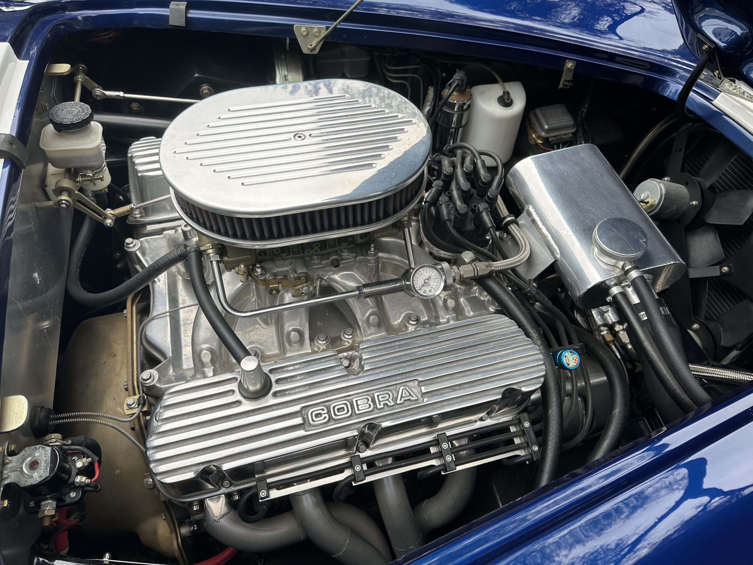 
								1965 Ford Cobra 351/392 full									