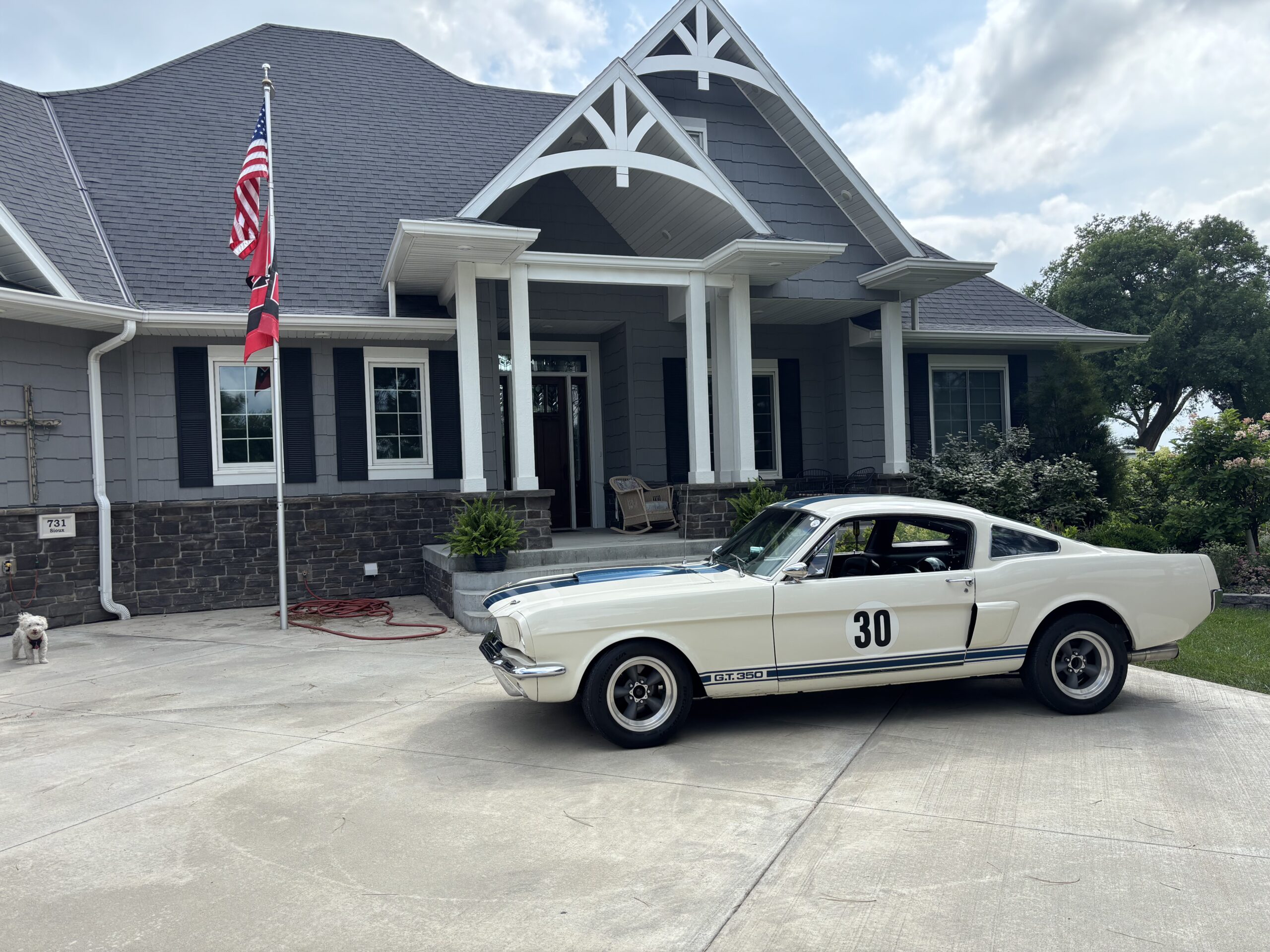 
								1966 Shelby GT-350 full									