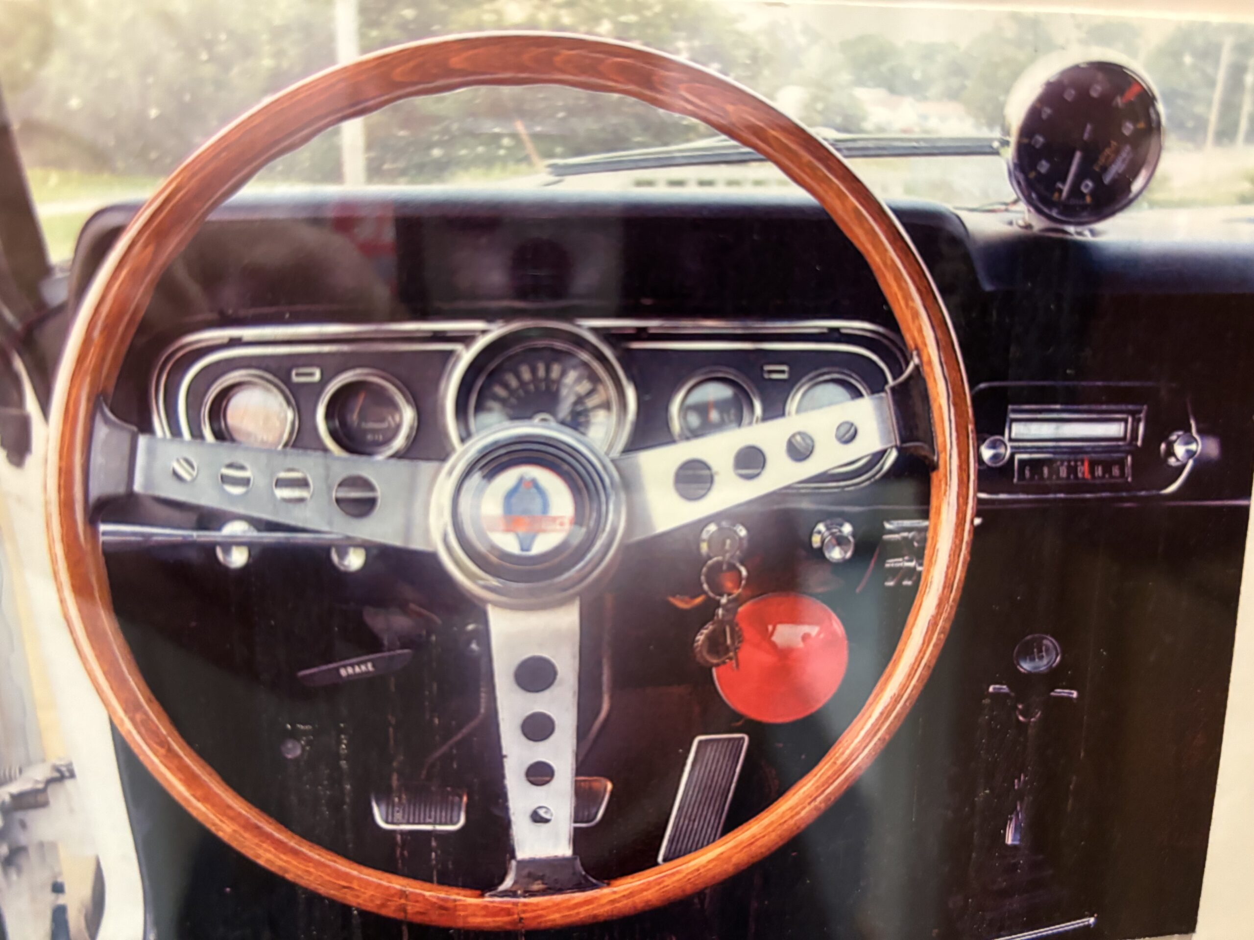 
								1966 Shelby GT-350 full									