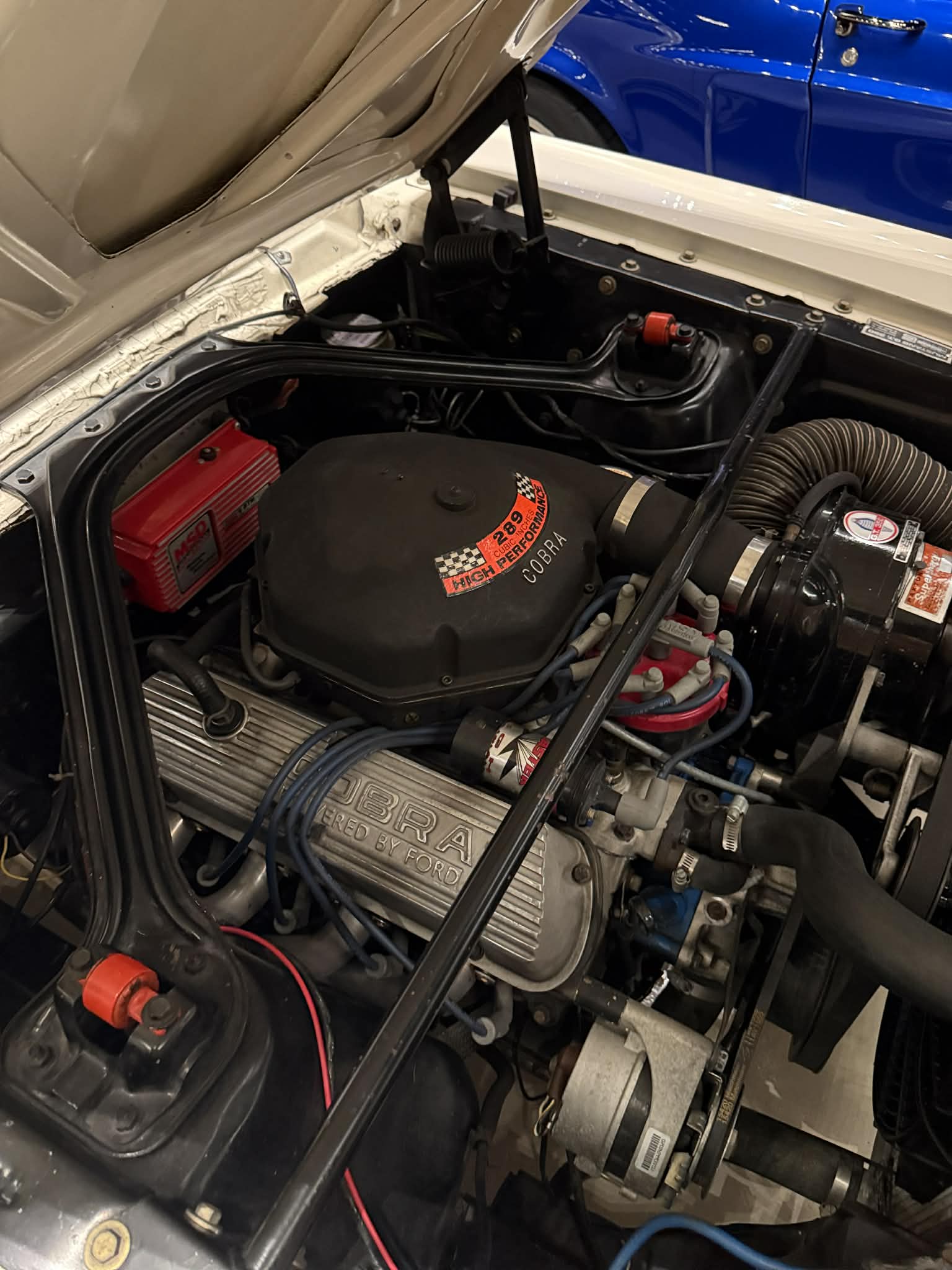 
								1966 Shelby GT-350 full									