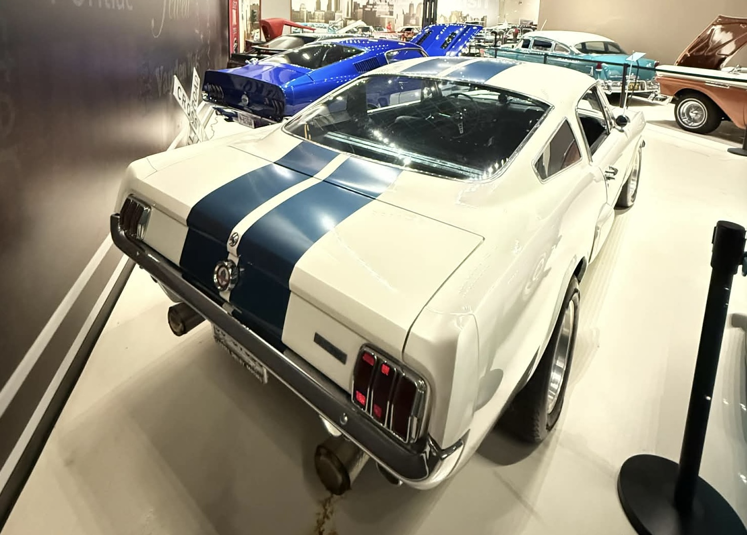 
								1966 Shelby GT-350 full									