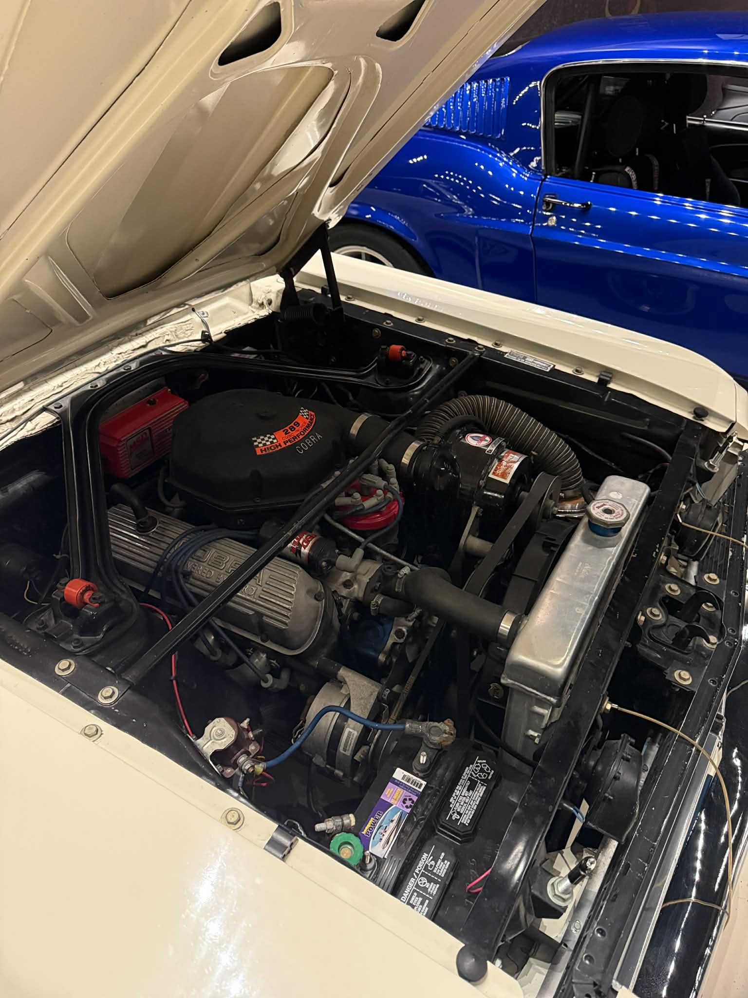
								1966 Shelby GT-350 full									