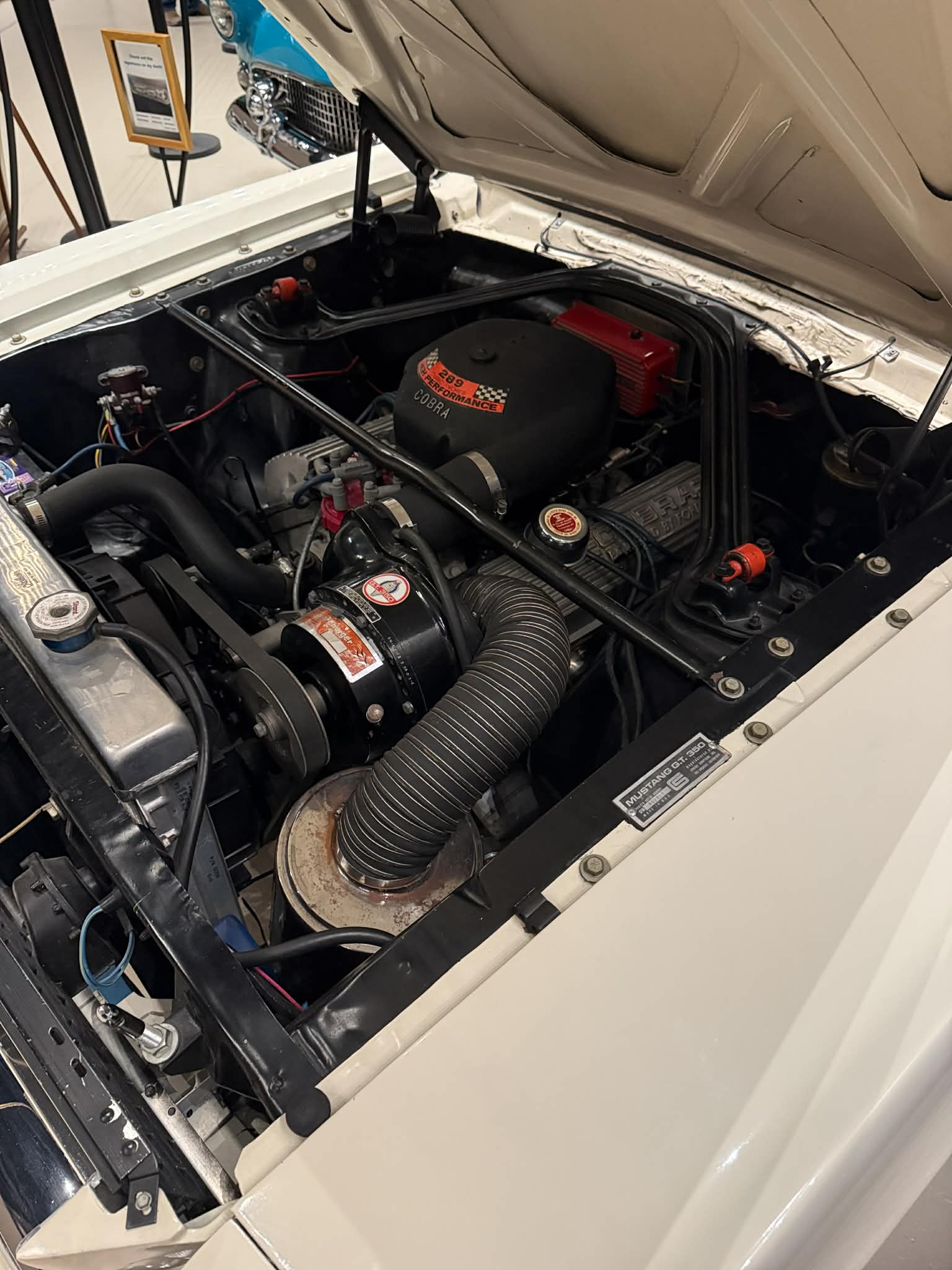 
								1966 Shelby GT-350 full									