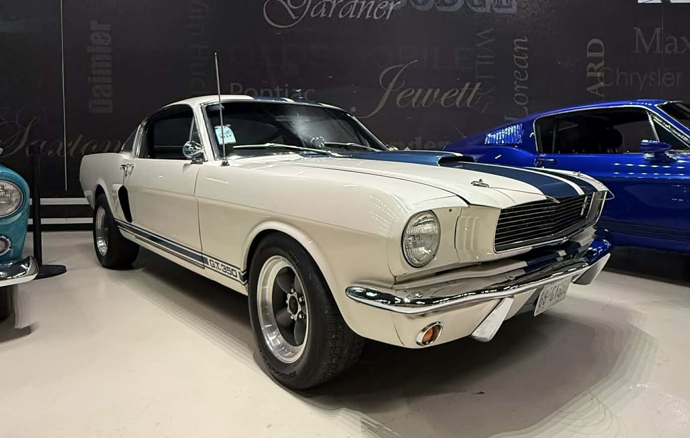 
								1966 Shelby GT-350 full									