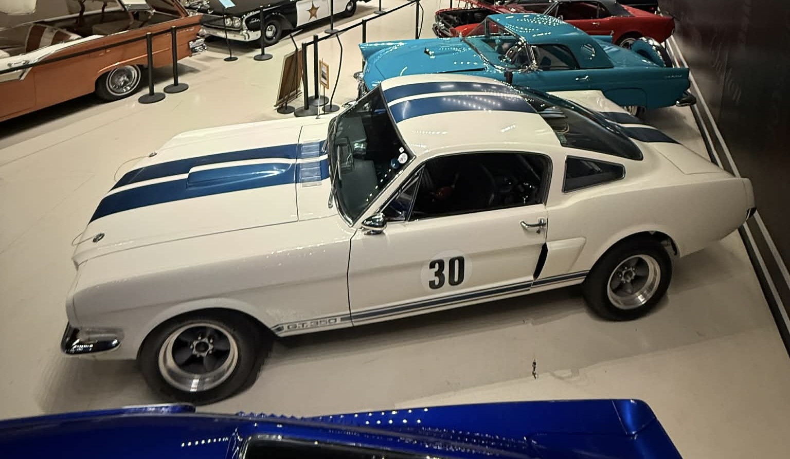 
								1966 Shelby GT-350 full									