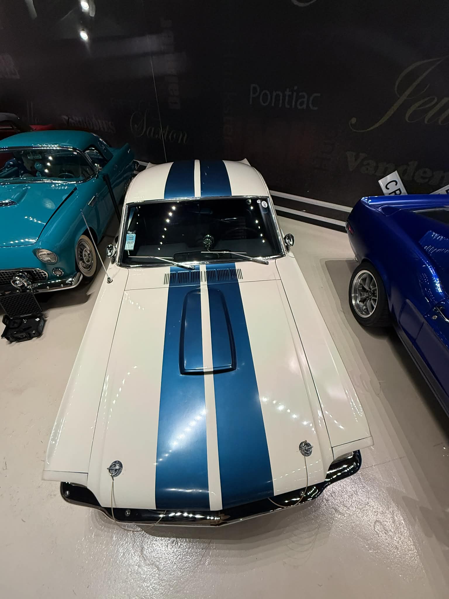 
								1966 Shelby GT-350 full									