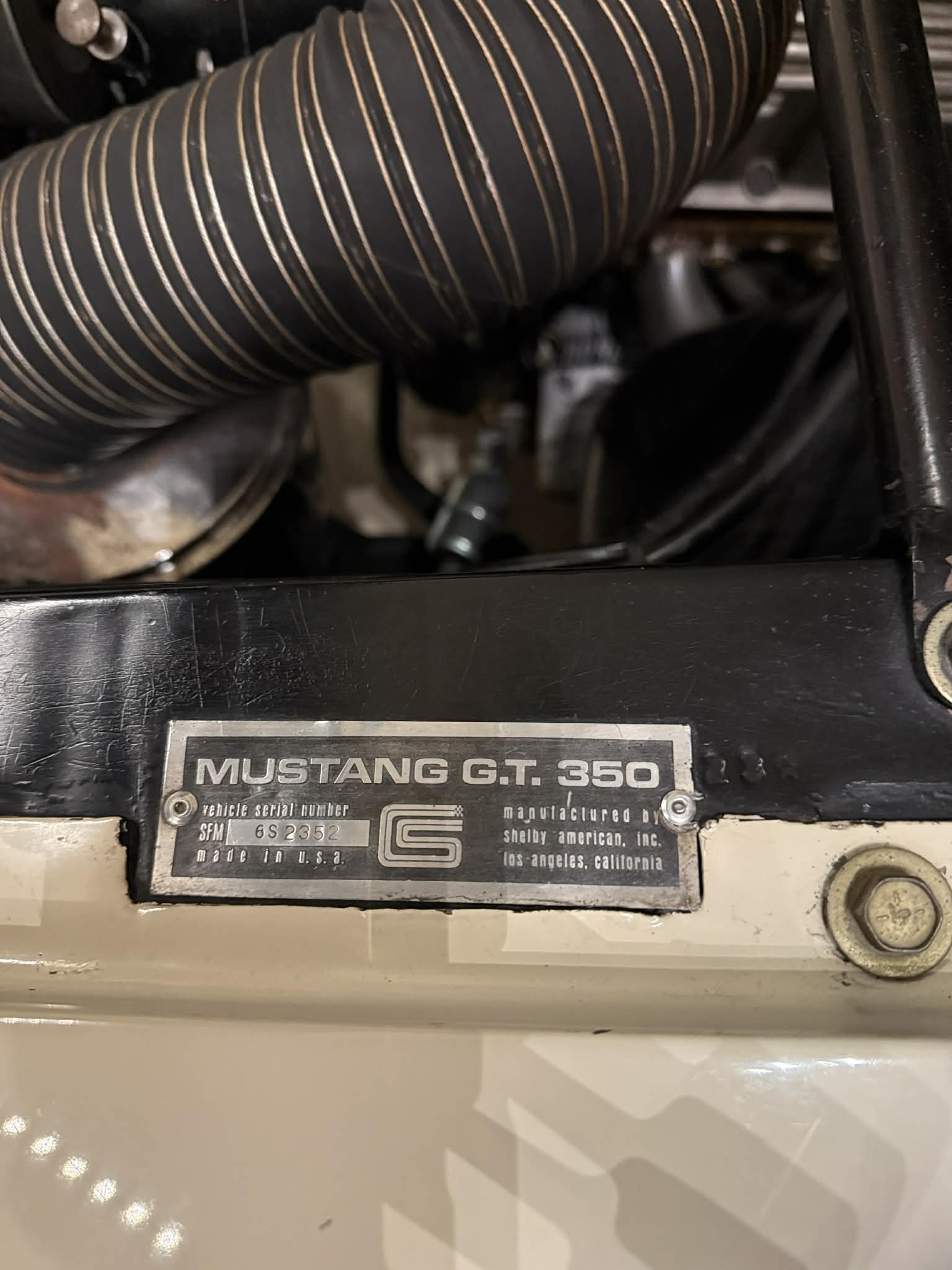 
								1966 Shelby GT-350 full									