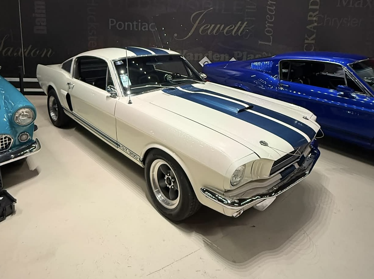 
								1966 Shelby GT-350 full									