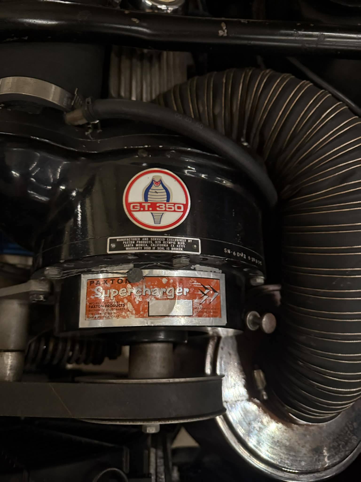 
								1966 Shelby GT-350 full									