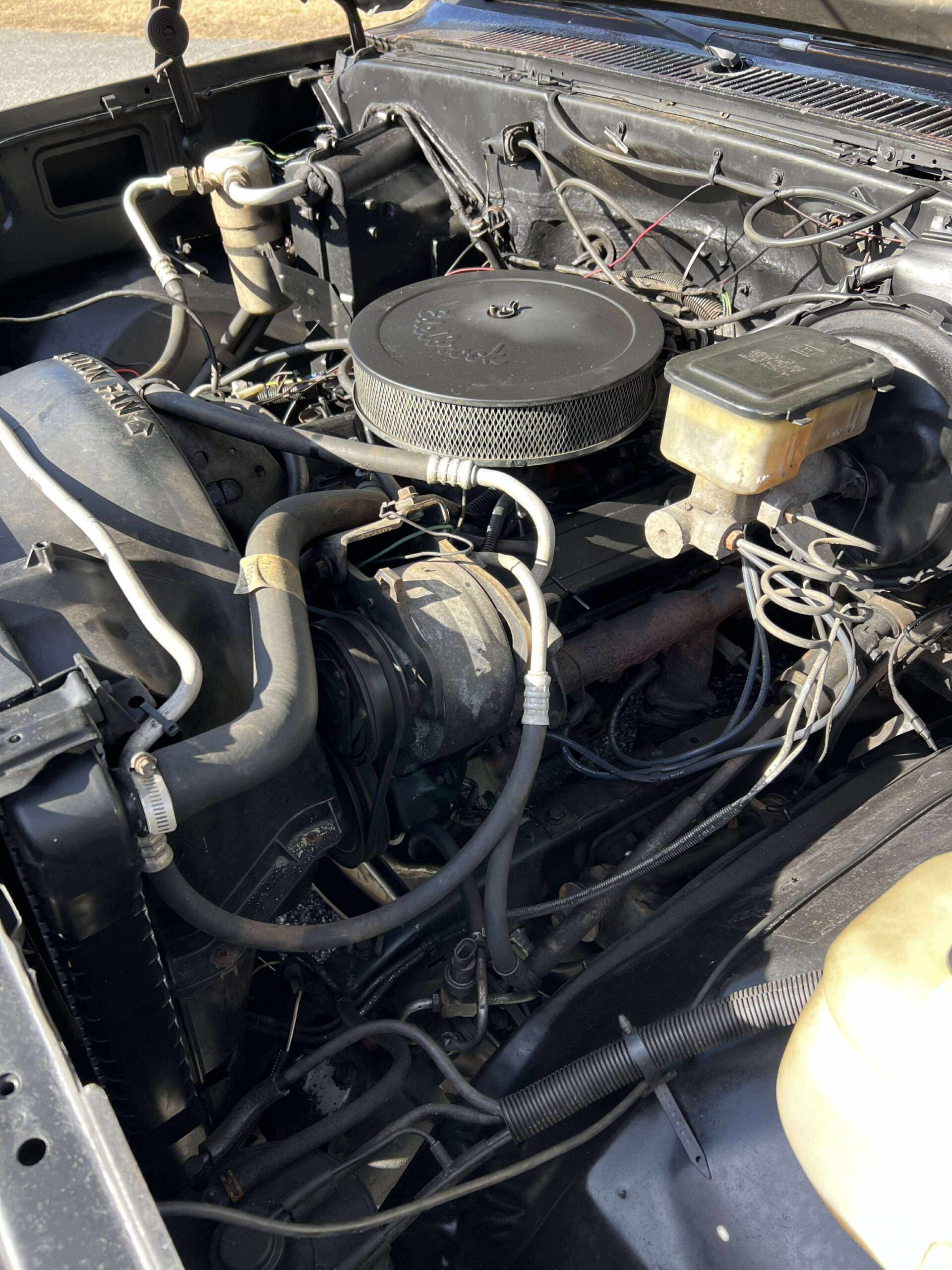 
								1986 Chevrolet C10 full									