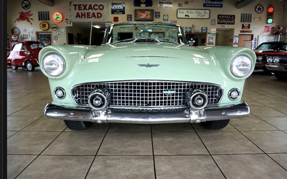 
								1956 Ford Thunderbird full									