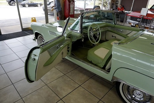 
								1956 Ford Thunderbird full									