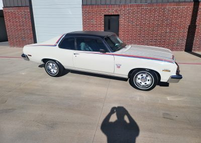 
								1974 Chevrolet Nova Special Edition full									