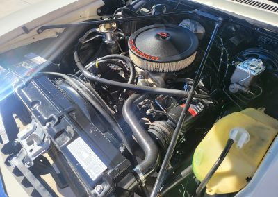 
								1974 Chevrolet Nova Special Edition full									