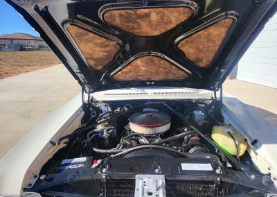 
								1974 Chevrolet Nova Special Edition full									