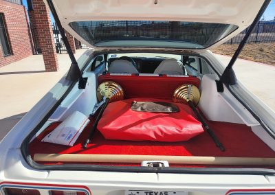 
								1974 Chevrolet Nova Special Edition full									