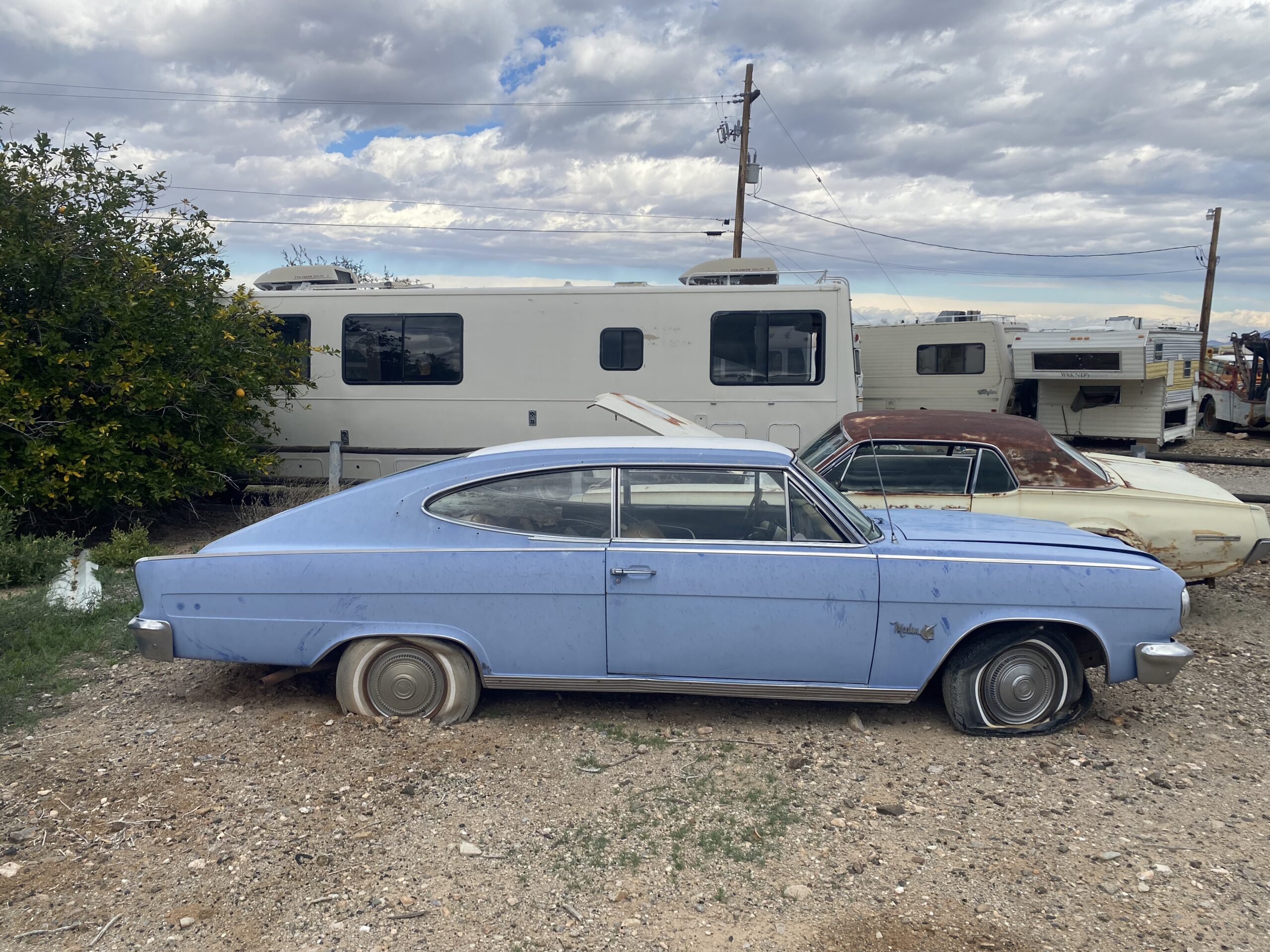
								1965 Rambler Marlin full									