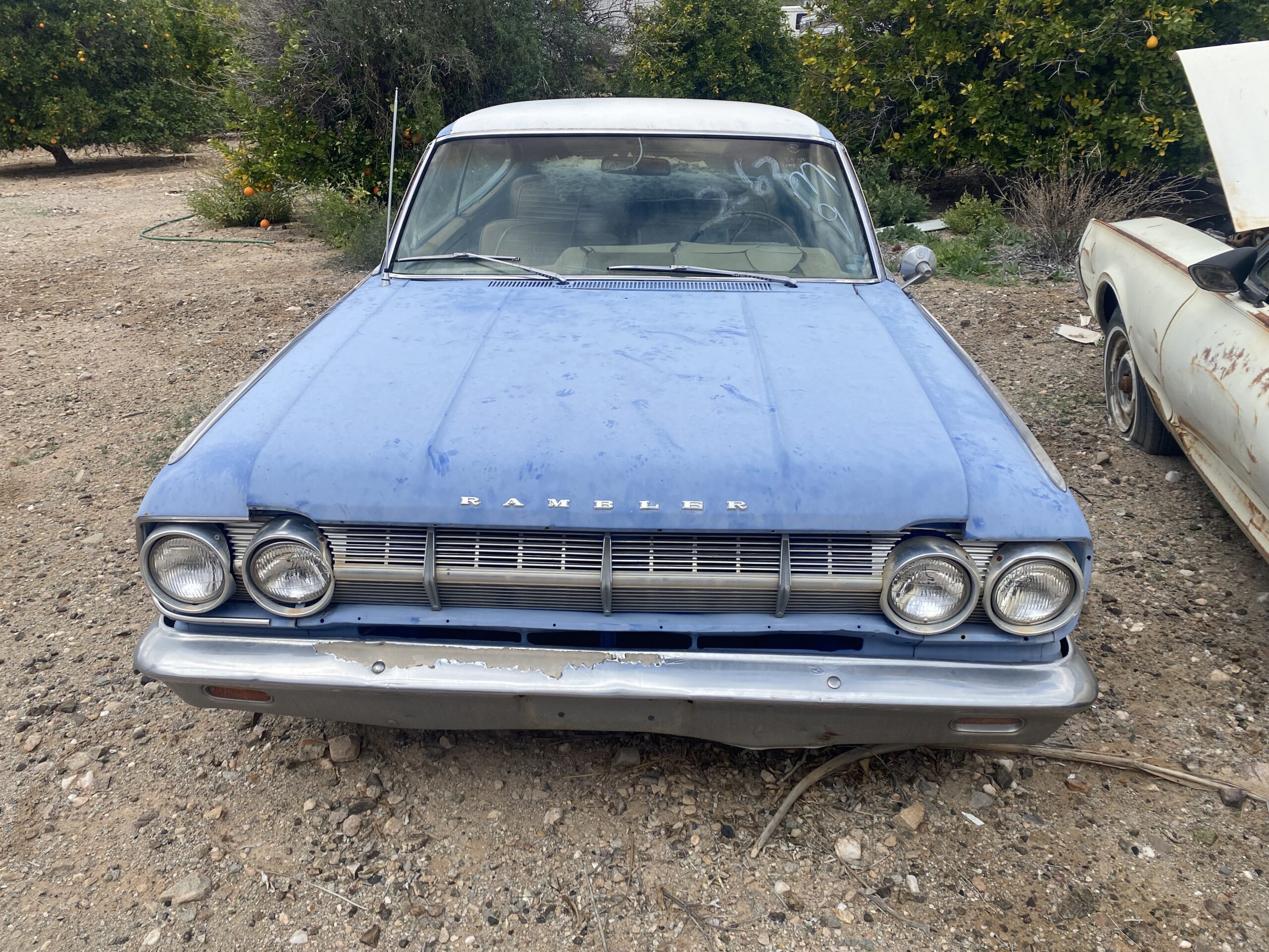 
								1965 Rambler Marlin full									