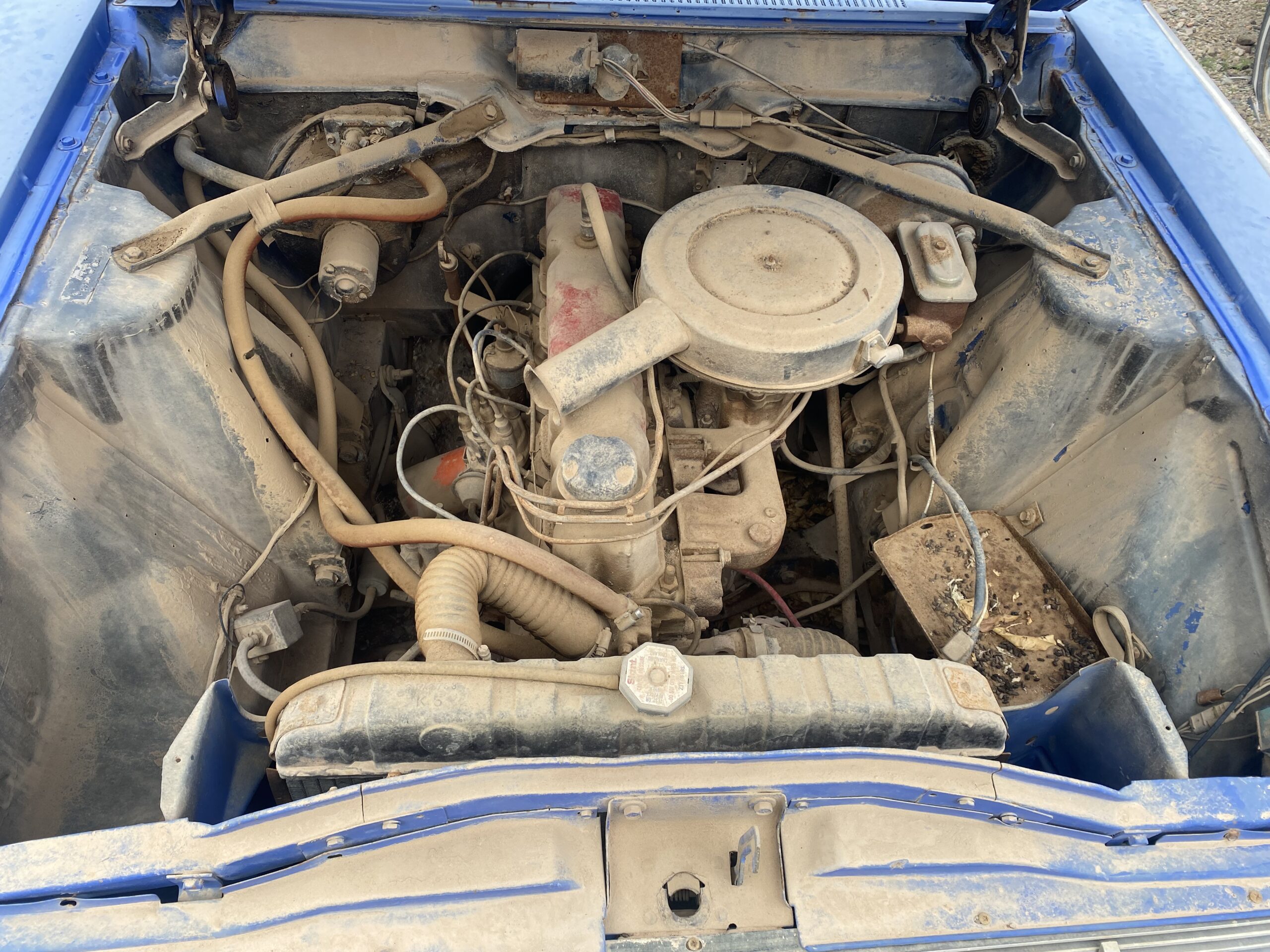 
								1965 Rambler Marlin full									