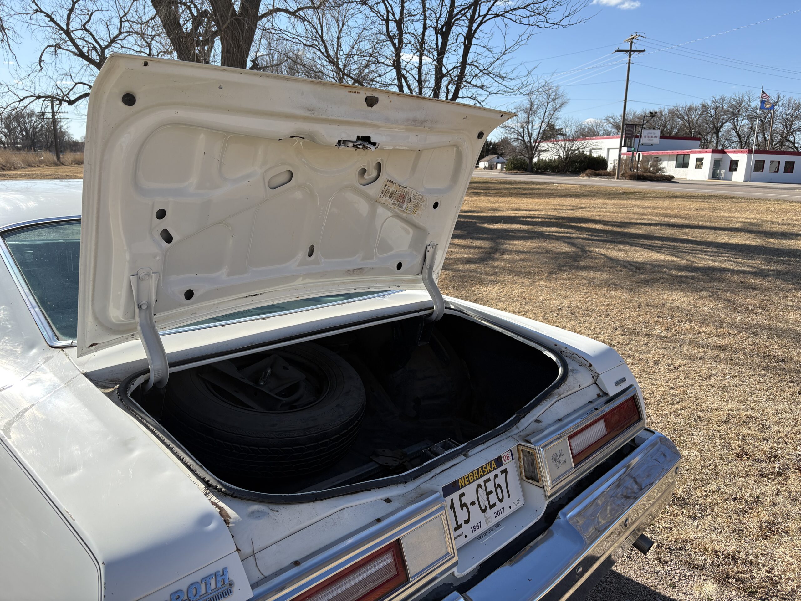 
								1976 Chevrolet Malibu Classic full									