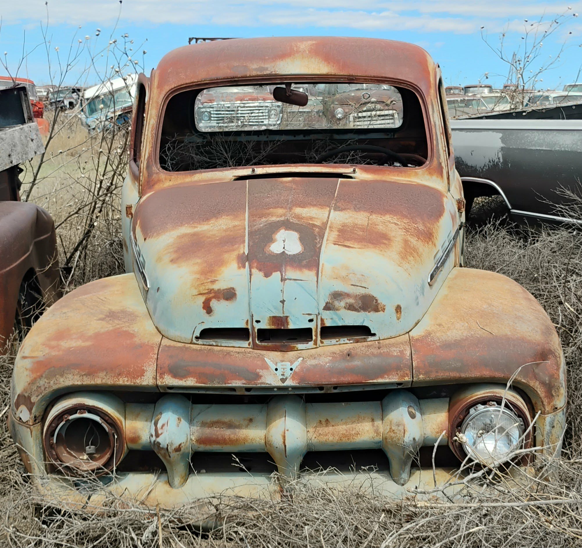 
								1951 Ford Pickup full									