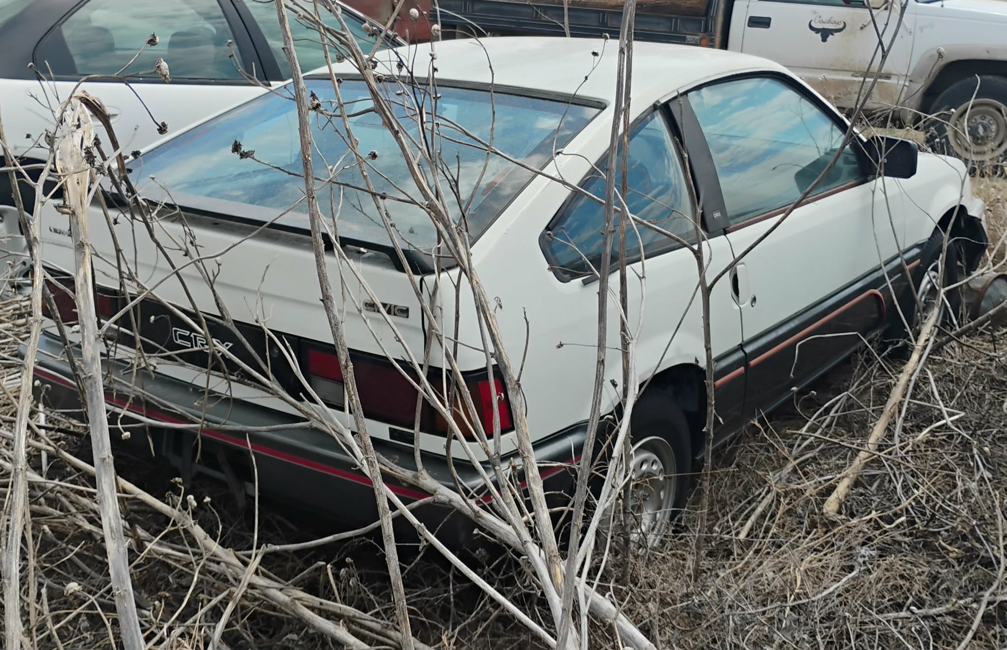 
								1986 Honda CRX full									