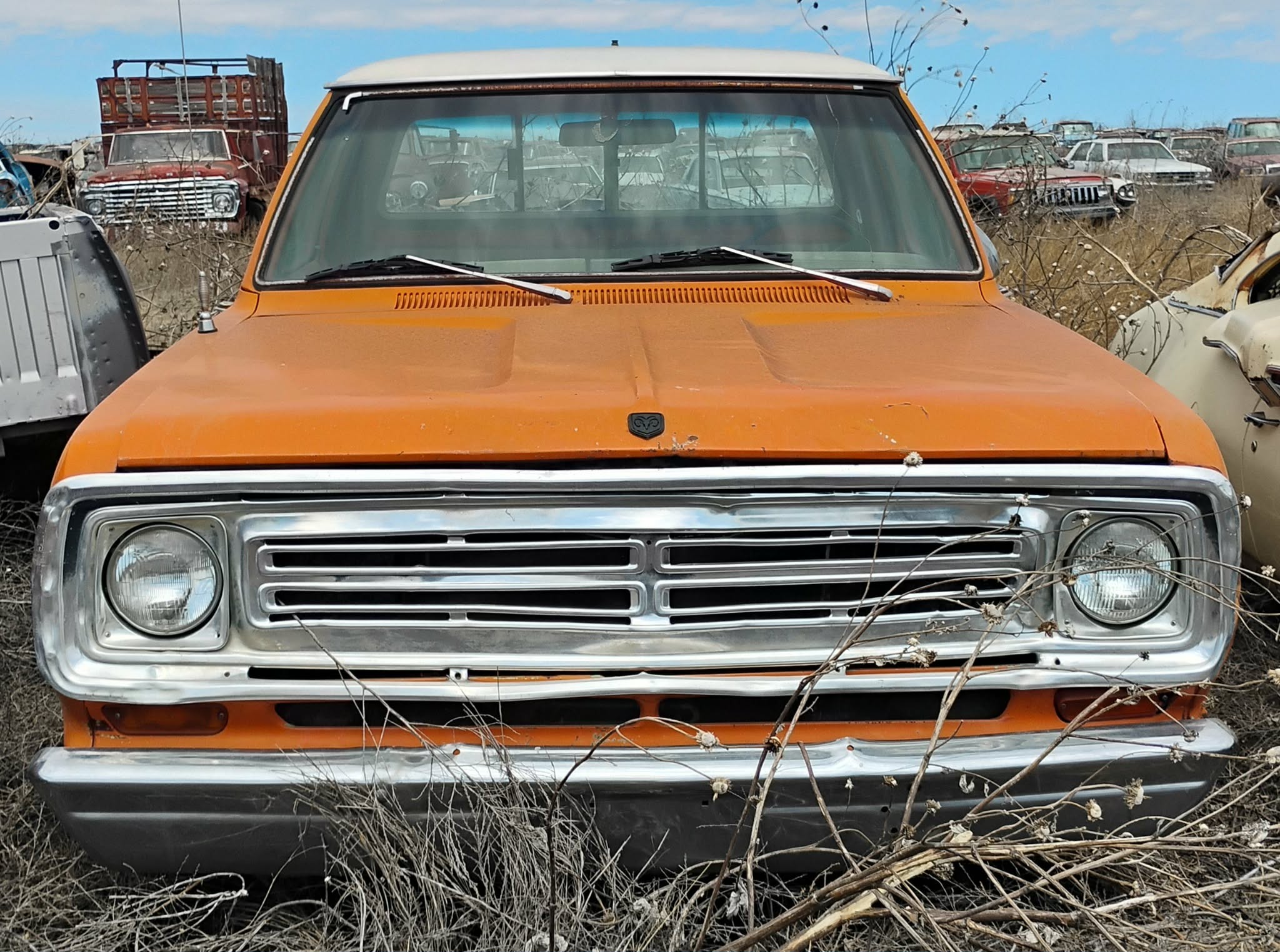 
								1976 Dodge 100 Pickup full									