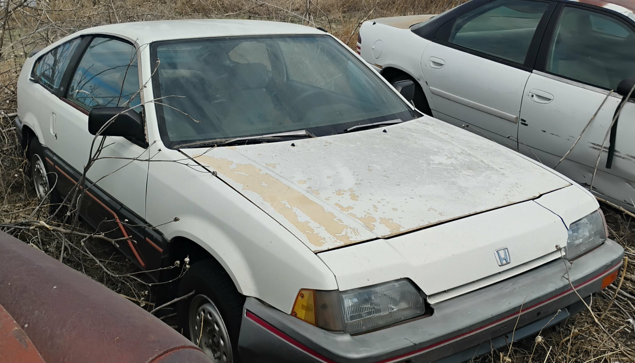 
								1986 Honda CRX full									