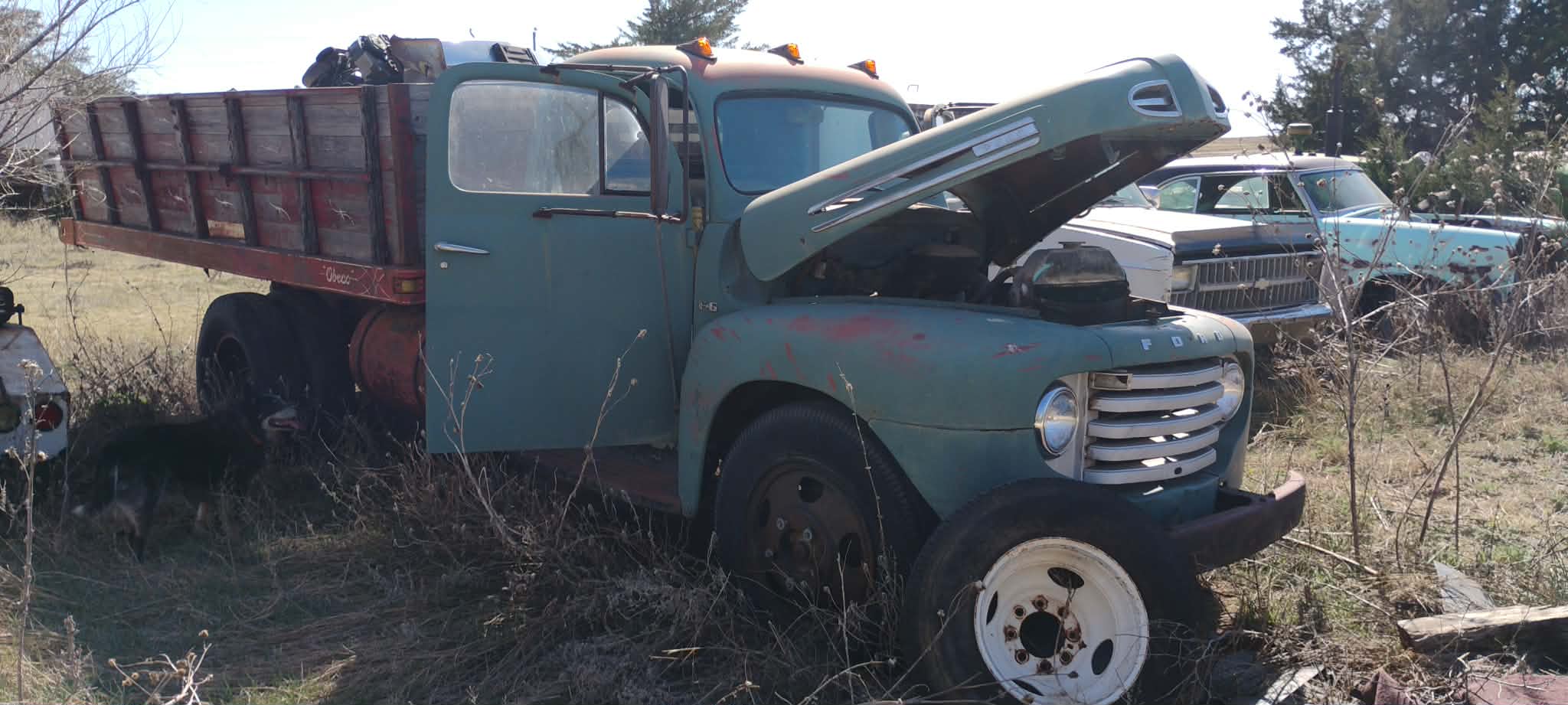 
								1951 Ford F-5 full									