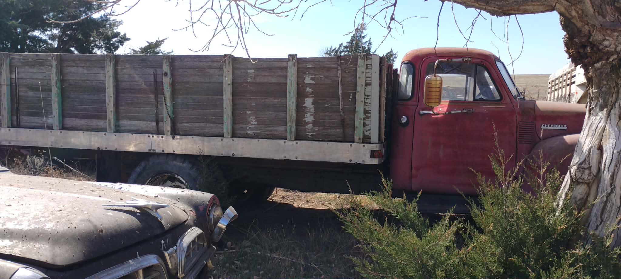 
								1951 Chevrolet 5-Window Grain Truck full									