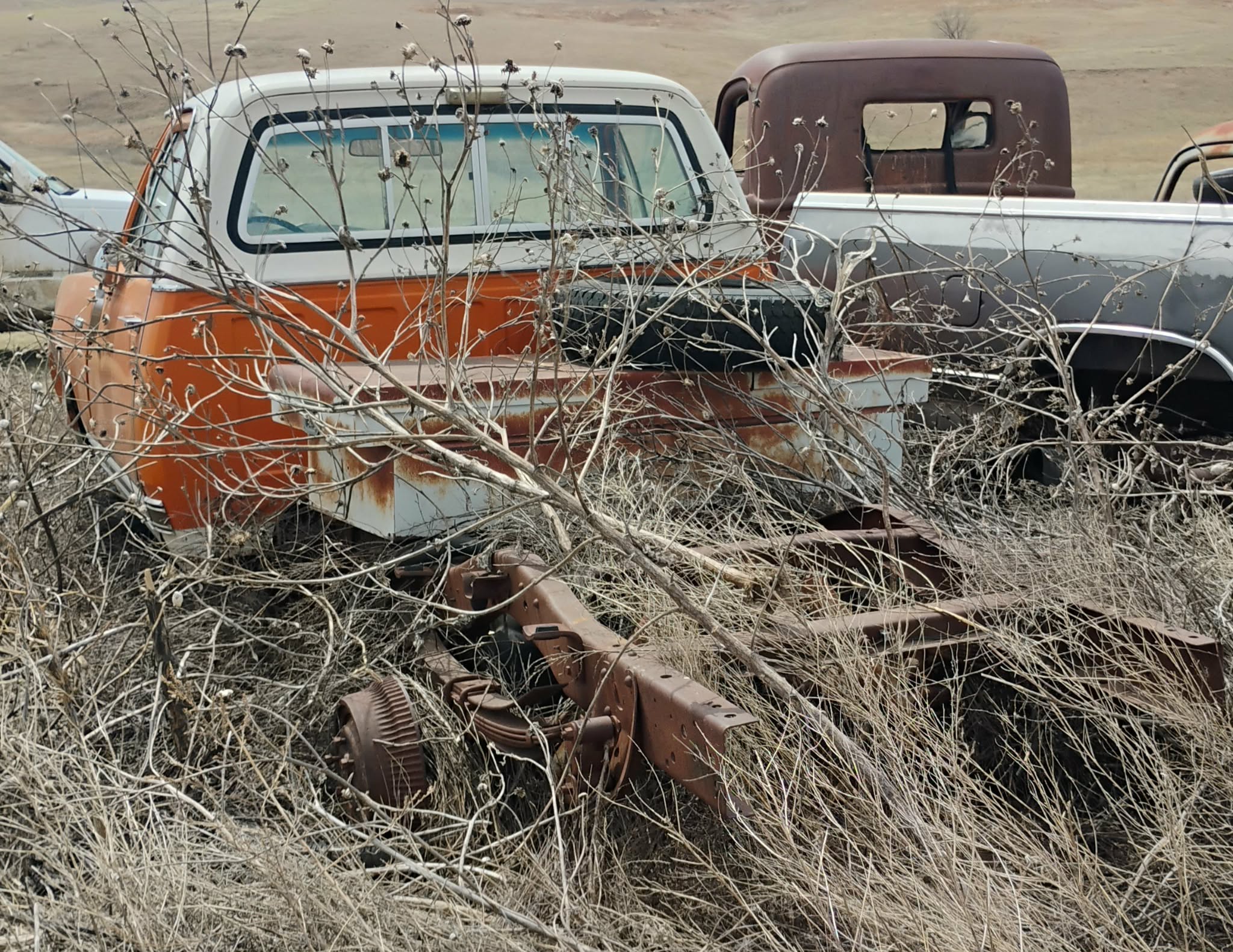 
								1976 Dodge 100 Pickup full									