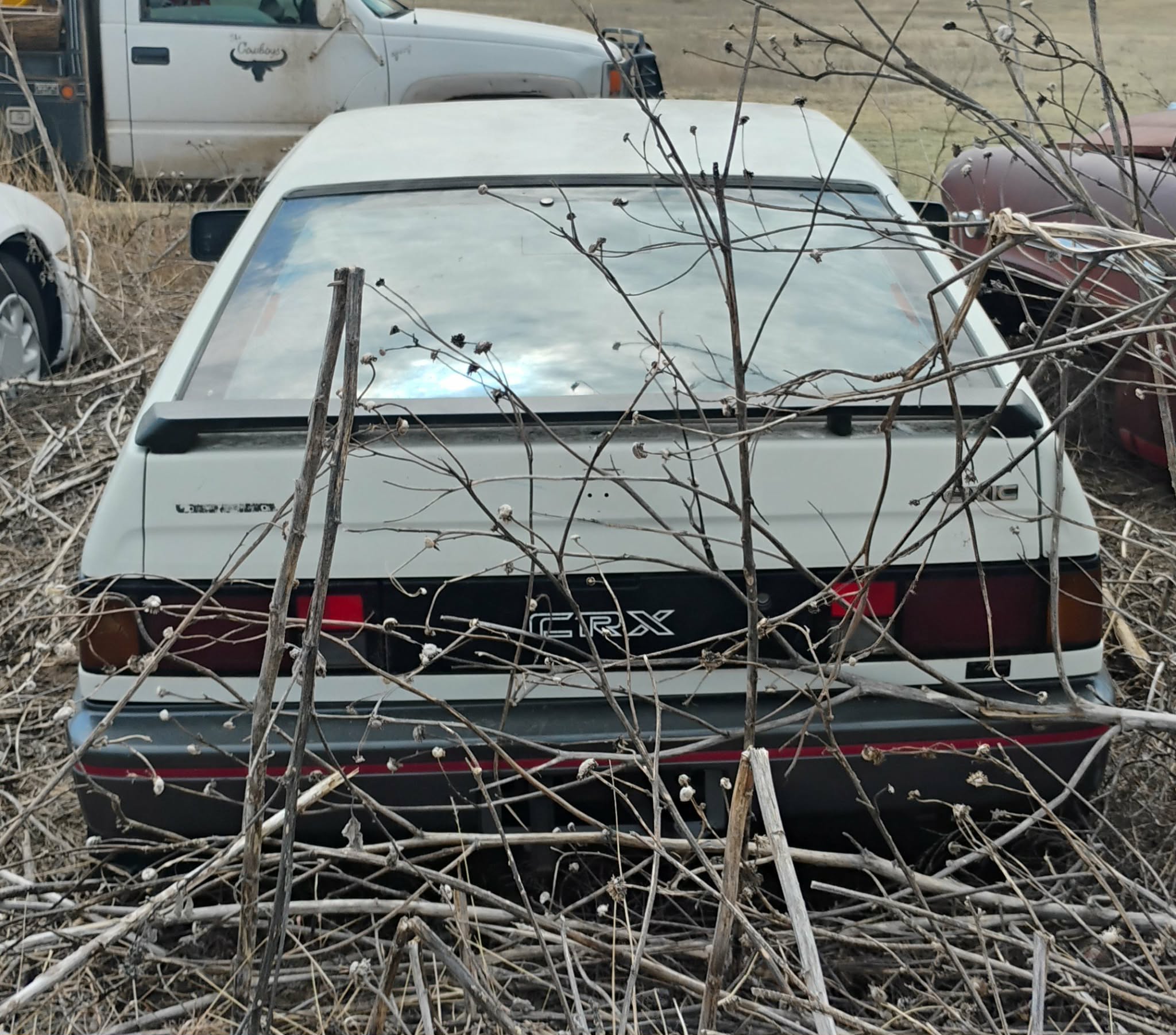 
								1986 Honda CRX full									