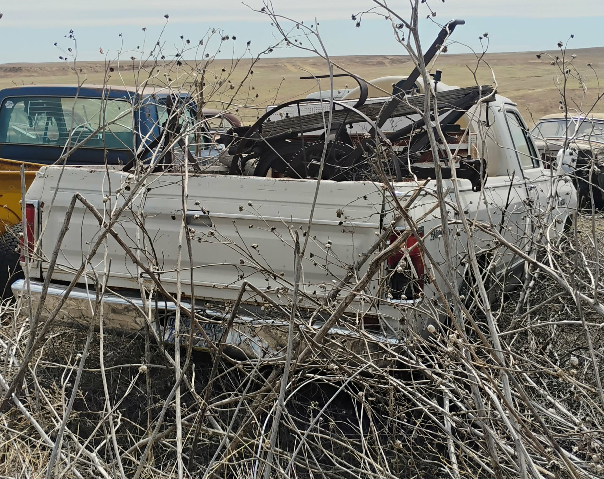 
								1985 Dodge D150 Pickup full									