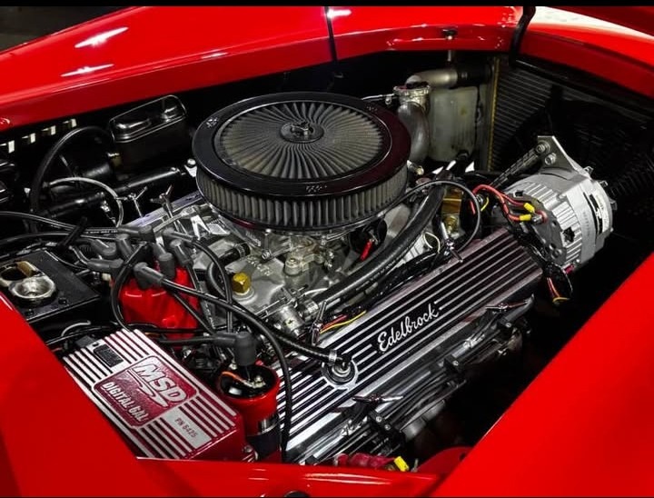 
								1965 Shelby Cobra Replica full									