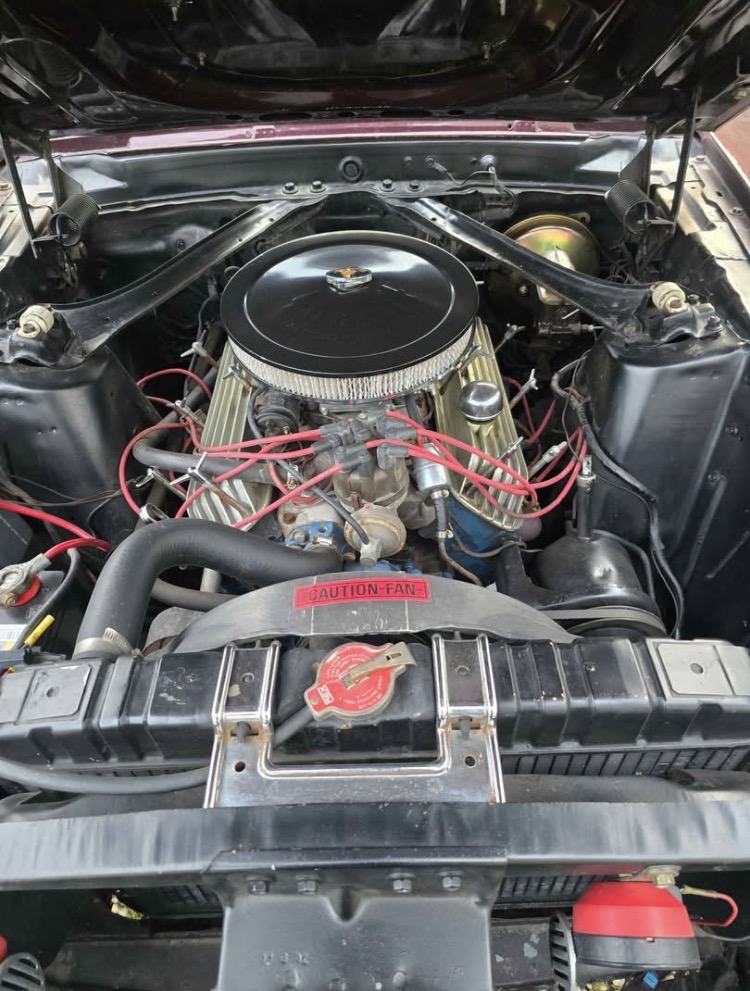 
								1970 Ford Mustang Fastback full									