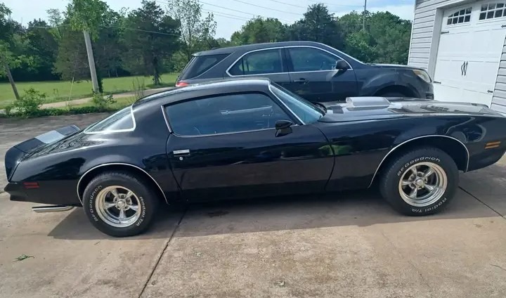 
								1975 Pontiac Trans-Am full									