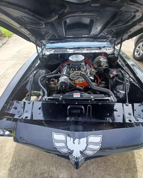 
								1975 Pontiac Trans-Am full									