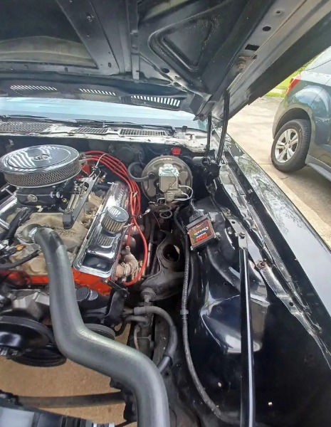 
								1975 Pontiac Trans-Am full									