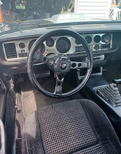 
								1975 Pontiac Trans-Am full									