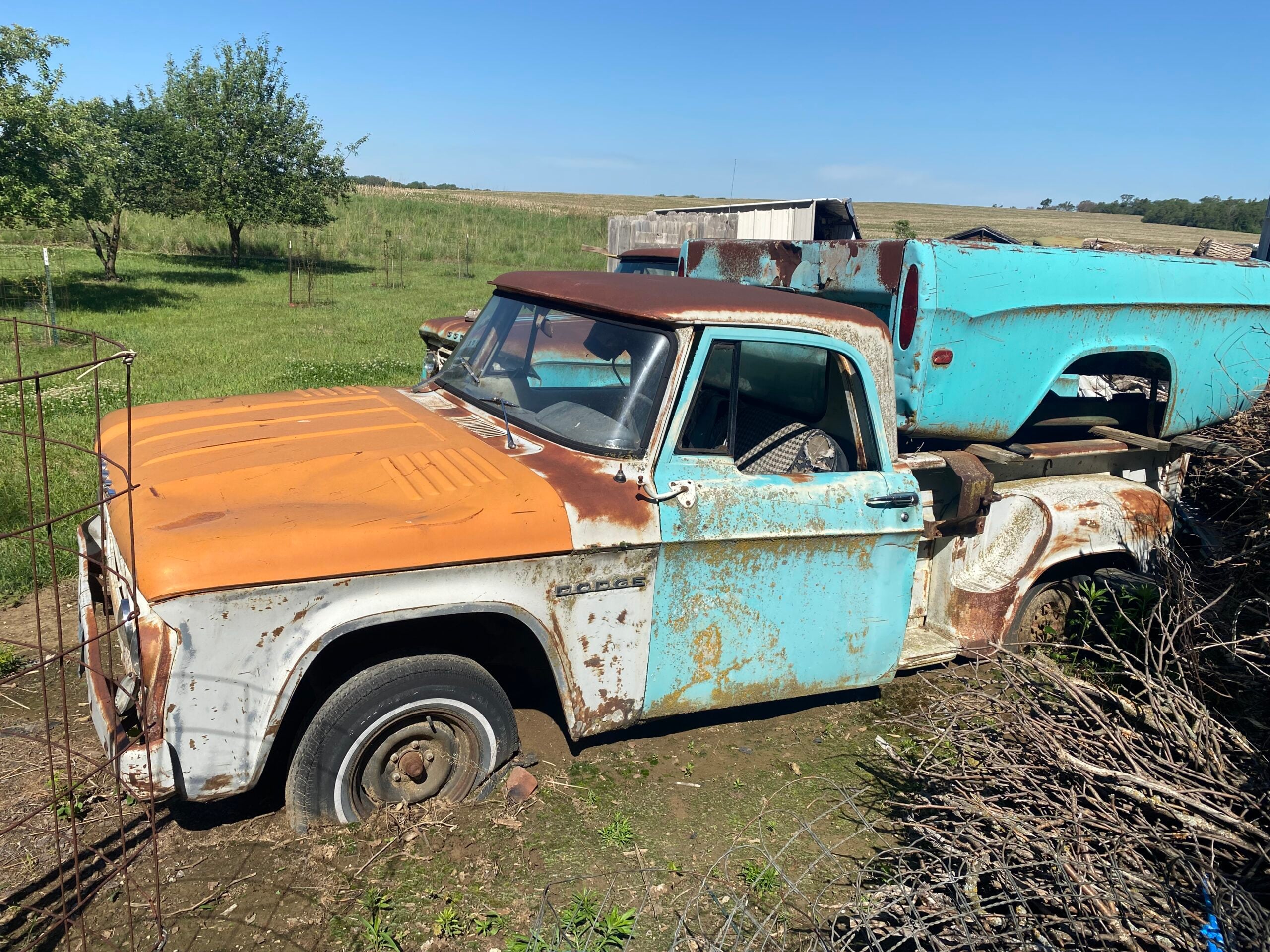 
								1964 Dodge D100 full									