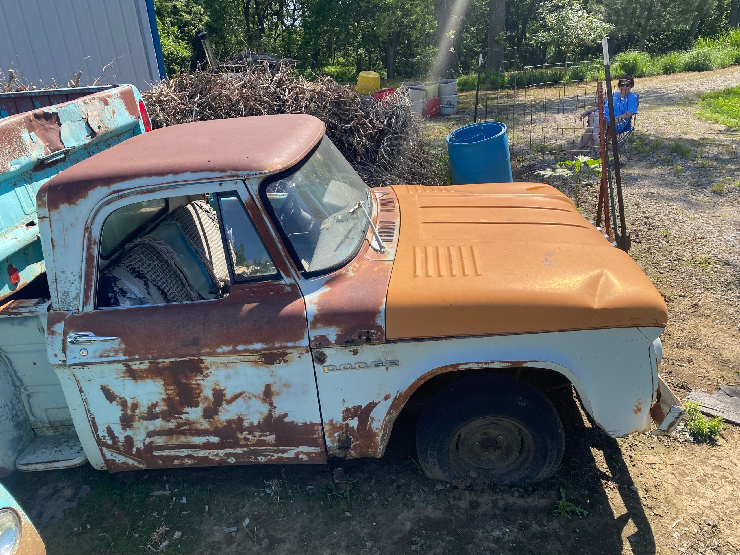 
								1964 Dodge D100 full									