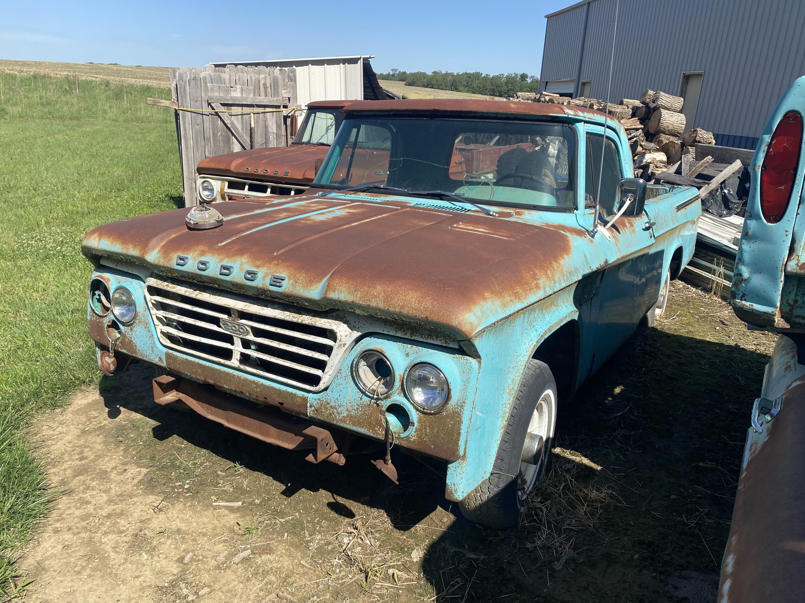 
								1964 Dodge D200 full									