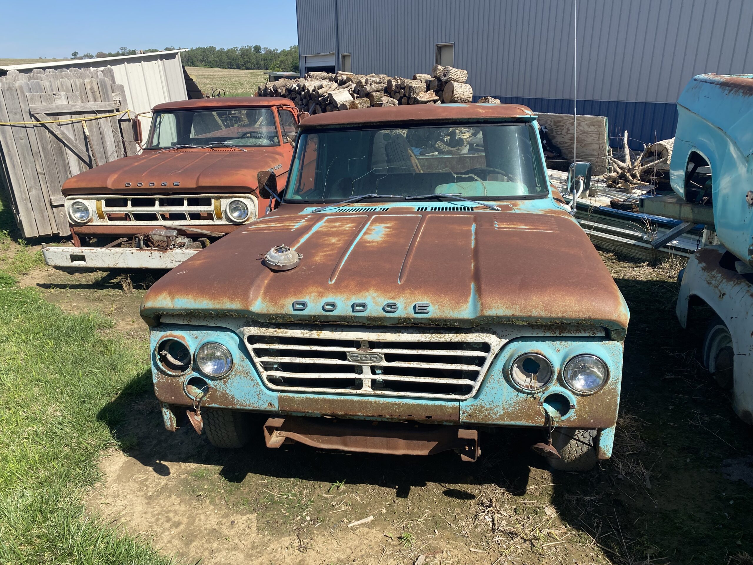
								1964 Dodge D200 full									