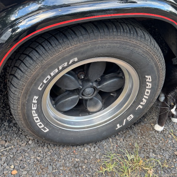 
								1976 Chevy G-10 Shorty van(manual) full									